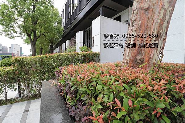 台中好宅 單元二 精銳建設 精銳花千樹 廖香婷 0965-520-580 歡迎預約鑑賞038.jpg