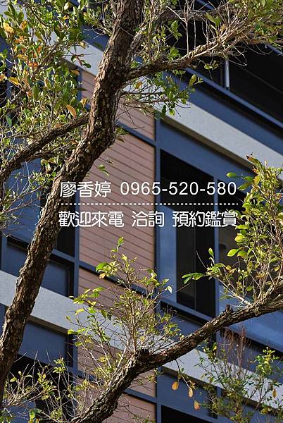 台中好宅 單元二 精銳建設 精銳花映樹 廖香婷 0965-520-580 歡迎預約鑑賞027.jpg