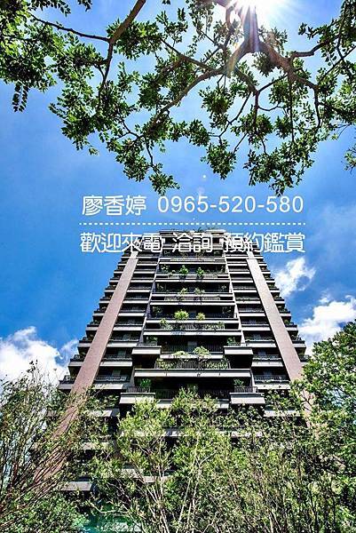 台中好宅 單元二 陸府建設 陸府植森 廖香婷 0965-520-580 歡迎預約鑑賞009.jpg