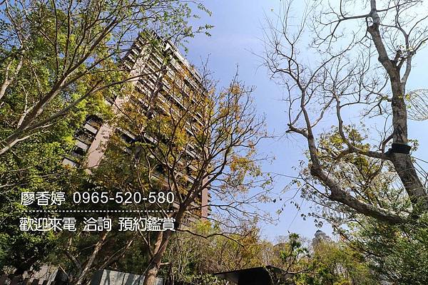 台中好宅 單元二 陸府建設 陸府植森 廖香婷 0965-520-580 歡迎預約鑑賞018.jpg