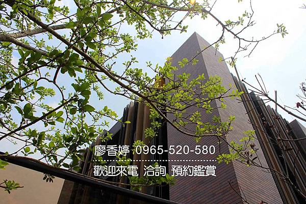 台中好宅 單元二 陸府建設 陸府植森 廖香婷 0965-520-580 歡迎預約鑑賞033.jpg