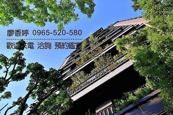 台中好宅 單元二 陸府建設 陸府植森 廖香婷 0965-520-580 歡迎預約鑑賞032.jpg