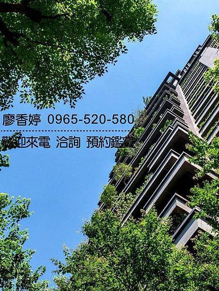 台中好宅 單元二 陸府建設 陸府植森 廖香婷 0965-520-580 歡迎預約鑑賞030.jpg