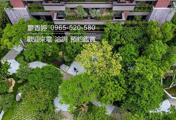 台中好宅 單元二 陸府建設 陸府植森 廖香婷 0965-520-580 歡迎預約鑑賞041.jpg