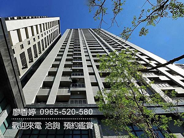 台中好宅 南屯區 佳泰建設 佳泰大方 廖香婷 0965-520-580 歡迎預約鑑賞006.jpg