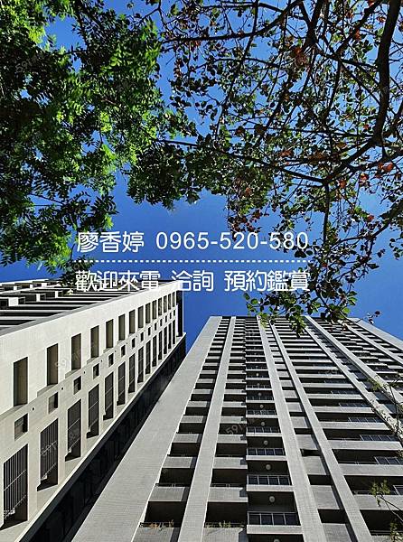 台中好宅 南屯區 佳泰建設 佳泰大方 廖香婷 0965-520-580 歡迎預約鑑賞011.jpg