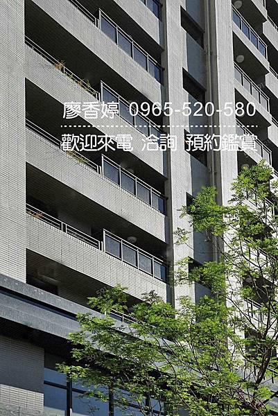 台中好宅 南屯區 佳泰建設 佳泰大方 廖香婷 0965-520-580 歡迎預約鑑賞012.jpg