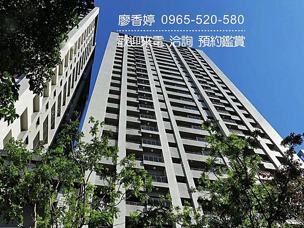 台中好宅 南屯區 佳泰建設 佳泰大方 廖香婷 0965-520-580 歡迎預約鑑賞014.jpg