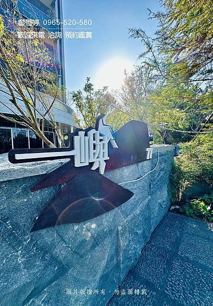 台中11期 大毅建設 大毅一嶼 廖香婷0965520580歡迎預約鑑賞 委託銷售 (4) .jpeg