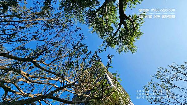 台中11期 大毅建設 大毅一嶼 廖香婷0965520580歡迎預約鑑賞 委託銷售 (58) .jpg