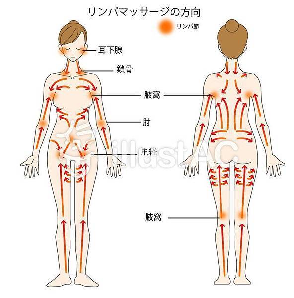 【芳 療法】 英式 芳香療法   90min   樂活首次體