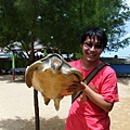 大隻海龜約20公斤