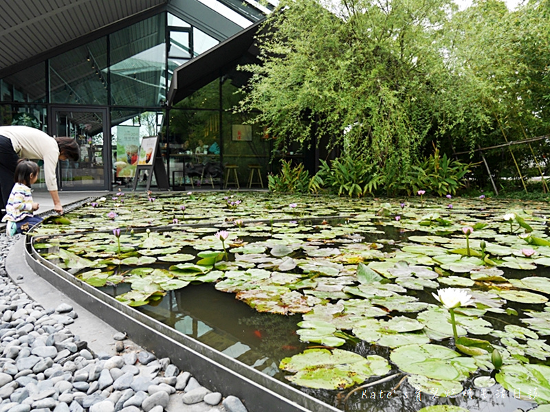 星巴克淡水雲門門市 雲門劇場旁邊的星巴克怎麼去 淡水新景點 淡水IG打卡點 淡水森林系星巴克 淡水玻璃屋星巴克11.jpg