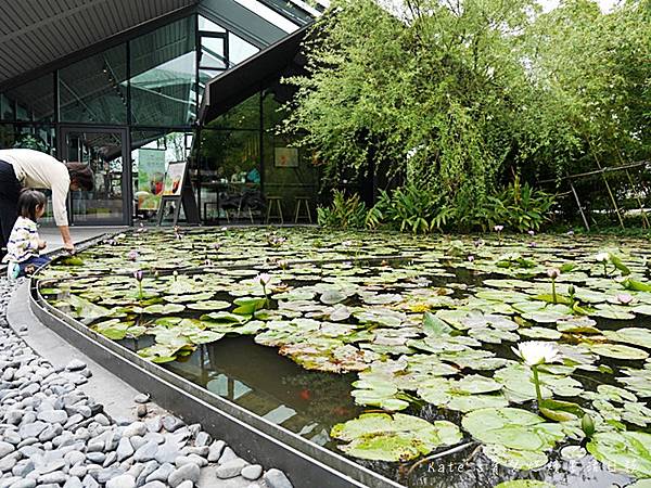 星巴克淡水雲門門市 雲門劇場旁邊的星巴克怎麼去 淡水新景點 淡水IG打卡點 淡水森林系星巴克 淡水玻璃屋星巴克11.jpg