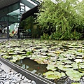 星巴克淡水雲門門市 雲門劇場旁邊的星巴克怎麼去 淡水新景點 淡水IG打卡點 淡水森林系星巴克 淡水玻璃屋星巴克11.jpg