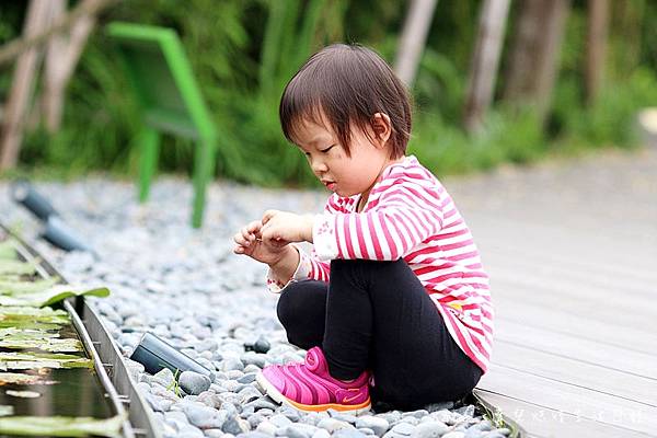 星巴克淡水雲門門市 雲門劇場旁邊的星巴克怎麼去 淡水新景點 淡水IG打卡點 淡水森林系星巴克 淡水玻璃屋星巴克12.jpg