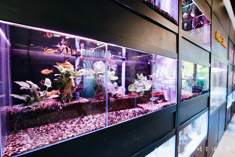 宜蘭 魚雅築親子民宿 溜滑梯親子民宿 魚窩B&B親子民宿包棟 魚雅築民宿評價 宜蘭民宿推薦 宜蘭親子民宿 宜蘭冬山民宿 哈旅行宜蘭包車旅遊15.jpg 宜蘭 魚雅築親子民宿 溜滑梯親子民宿 魚窩B&B親子民宿包棟 魚雅築民宿評價 宜蘭民宿推薦 宜蘭親子民宿 宜蘭冬山民宿 哈旅行宜蘭包車旅遊15.jpg