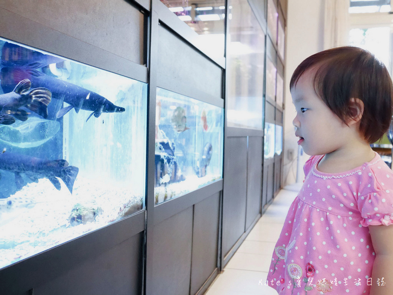 宜蘭 魚雅築親子民宿 溜滑梯親子民宿 魚窩B&B親子民宿包棟 魚雅築民宿評價 宜蘭民宿推薦 宜蘭親子民宿 宜蘭冬山民宿 哈旅行宜蘭包車旅遊46.jpg 宜蘭 魚雅築親子民宿 溜滑梯親子民宿 魚窩B&B親子民宿包棟 魚雅築民宿評價 宜蘭民宿推薦 宜蘭親子民宿 宜蘭冬山民宿 哈旅行宜蘭包車旅遊46.jpg