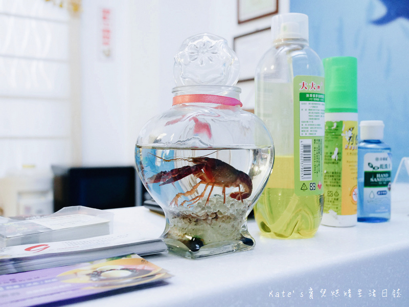 宜蘭 魚雅築親子民宿 溜滑梯親子民宿 魚窩B&B親子民宿包棟 魚雅築民宿評價 宜蘭民宿推薦 宜蘭親子民宿 宜蘭冬山民宿 哈旅行宜蘭包車旅遊47.jpg 宜蘭 魚雅築親子民宿 溜滑梯親子民宿 魚窩B&B親子民宿包棟 魚雅築民宿評價 宜蘭民宿推薦 宜蘭親子民宿 宜蘭冬山民宿 哈旅行宜蘭包車旅遊47.jpg