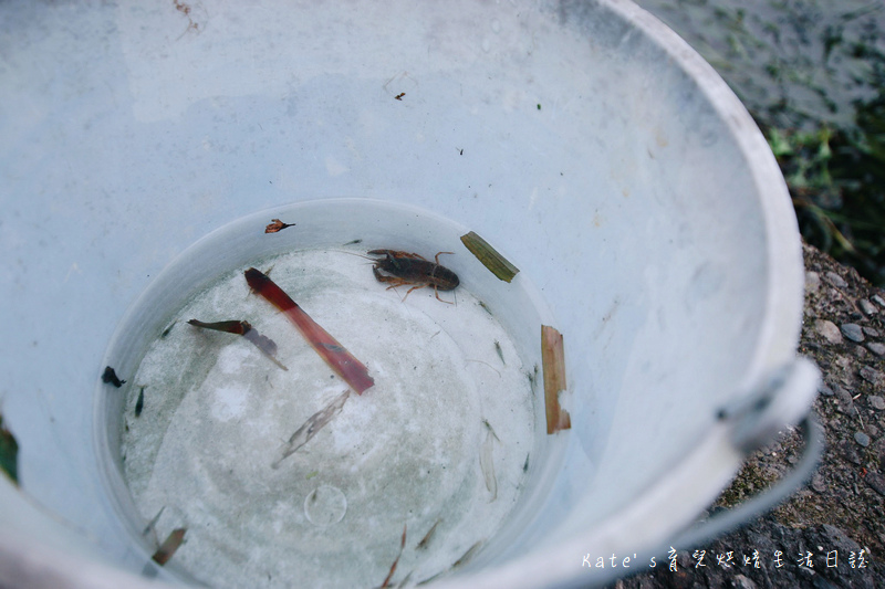 宜蘭 魚雅築親子民宿 溜滑梯親子民宿 魚窩B&B親子民宿包棟 魚雅築民宿評價 宜蘭民宿推薦 宜蘭親子民宿 宜蘭冬山民宿 哈旅行宜蘭包車旅遊77.jpg 宜蘭 魚雅築親子民宿 溜滑梯親子民宿 魚窩B&B親子民宿包棟 魚雅築民宿評價 宜蘭民宿推薦 宜蘭親子民宿 宜蘭冬山民宿 哈旅行宜蘭包車旅遊77.jpg