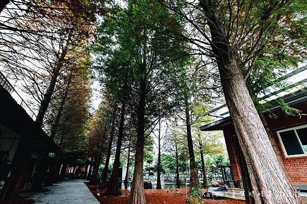 NaSaDen 納莎登 海德堡系列 28吋100%純PC超輕量箱體 純PC材質行李箱 NaSaDen海德堡 海德堡系列行李箱好用嗎 NaSaDen 納莎登 海德堡行李箱好推嗎 德國NaSaDen雪佛包6.jpg