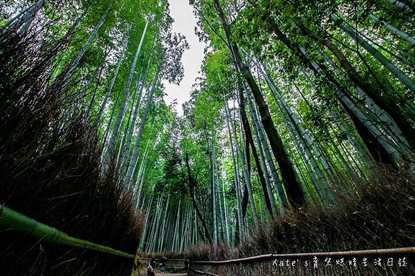 京都嵐山 嵐山竹林小徑 天龍寺 渡月橋 嵐山景點 嵯峨嵐山 關西JRPASS40.jpg