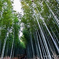 京都嵐山 嵐山竹林小徑 天龍寺 渡月橋 嵐山景點 嵯峨嵐山 關西JRPASS41.jpg