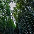 京都嵐山 嵐山竹林小徑 天龍寺 渡月橋 嵐山景點 嵯峨嵐山 關西JRPASS44.jpg