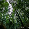 京都嵐山 嵐山竹林小徑 天龍寺 渡月橋 嵐山景點 嵯峨嵐山 關西JRPASS45.jpg