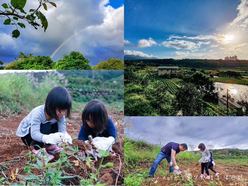 ,新北,三芝,親子旅遊,國產雜糧十大經典體驗路線,新北三芝黃金甘藷大冒險,挖地瓜,手作DIY,步道,