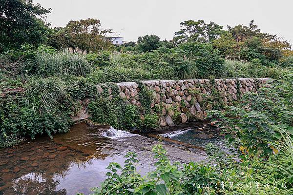 新北三芝黃金甘藷大冒險 中華民國農會 國產雜糧十大經典路線 三芝區農會 新北親子活動 新北親子體驗 親子體驗活動 親子DIY 親子旅遊推薦 挖地瓜體驗10.jpg