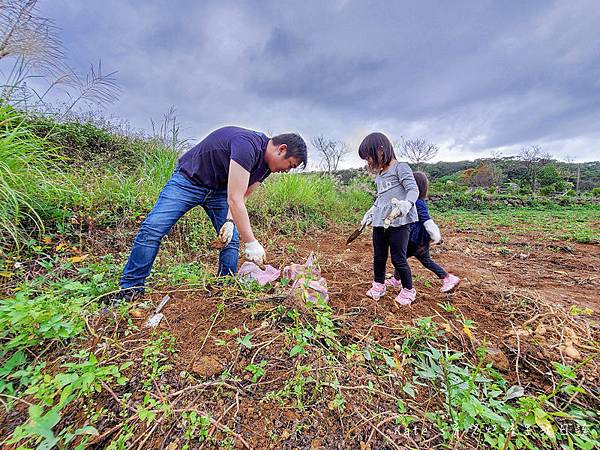 新北三芝黃金甘藷大冒險 中華民國農會 國產雜糧十大經典路線 三芝區農會 新北親子活動 新北親子體驗 親子體驗活動 親子DIY 親子旅遊推薦 挖地瓜體驗29.jpg