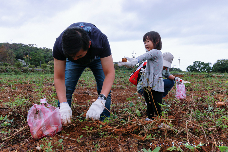 新北三芝黃金甘藷大冒險 中華民國農會 國產雜糧十大經典路線 三芝區農會 新北親子活動 新北親子體驗 親子體驗活動 親子DIY 親子旅遊推薦 挖地瓜體驗33.jpg