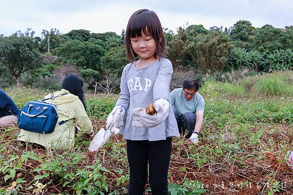 新北三芝黃金甘藷大冒險 中華民國農會 國產雜糧十大經典路線 三芝區農會 新北親子活動 新北親子體驗 親子體驗活動 親子DIY 親子旅遊推薦 挖地瓜體驗41.jpg