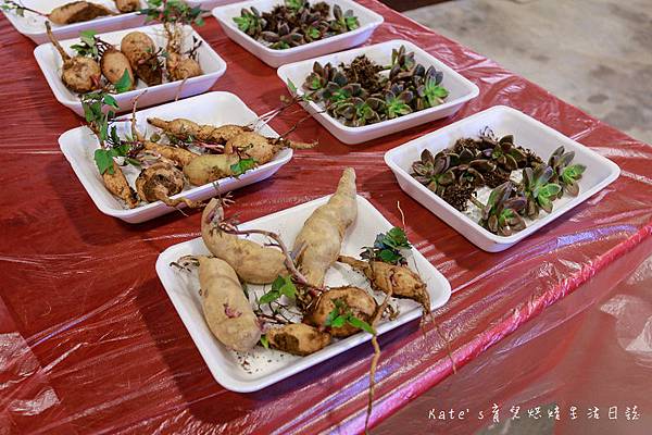 新北三芝黃金甘藷大冒險 中華民國農會 國產雜糧十大經典路線 三芝區農會 新北親子活動 新北親子體驗 親子體驗活動 親子DIY 親子旅遊推薦 挖地瓜體驗148.jpg