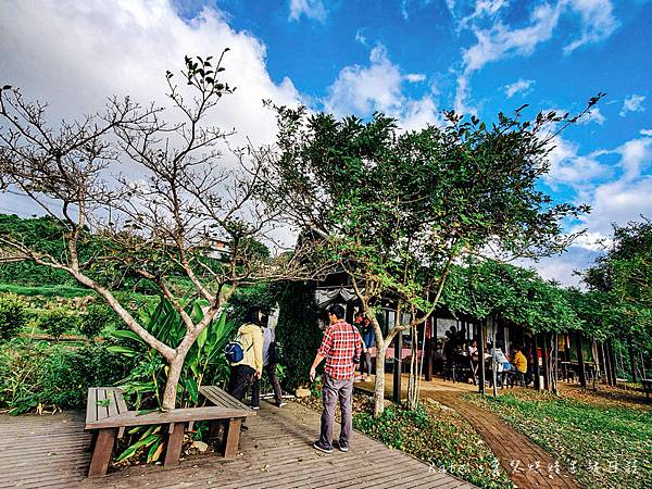 新北三芝黃金甘藷大冒險 中華民國農會 國產雜糧十大經典路線 三芝區農會 新北親子活動 新北親子體驗 親子體驗活動 親子DIY 親子旅遊推薦 挖地瓜體驗206.jpg