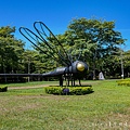 知卡宣公園 花蓮知卡宣 知卡宣森林親水公園 花蓮免費水上樂園38.jpg