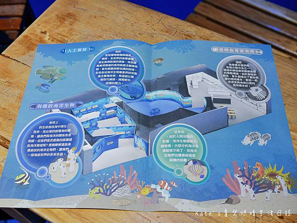 國立海科館主題館 基隆海科館特展 趣味海洋生物特展 海洋嘉年華 海科館海洋嘉年華 趣味海洋特展海科館12.jpg