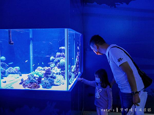 國立海科館主題館 基隆海科館特展 趣味海洋生物特展 海洋嘉年華 海科館海洋嘉年華 趣味海洋特展海科館21.jpg