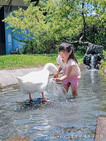 心心農家樂 宜蘭親子景點 宜蘭農場推薦 宜蘭冬山景點 冬山親子景點 冬山農場 心心農家樂門票 心心農家樂評價 心心農家樂有什麼動物53.jpg