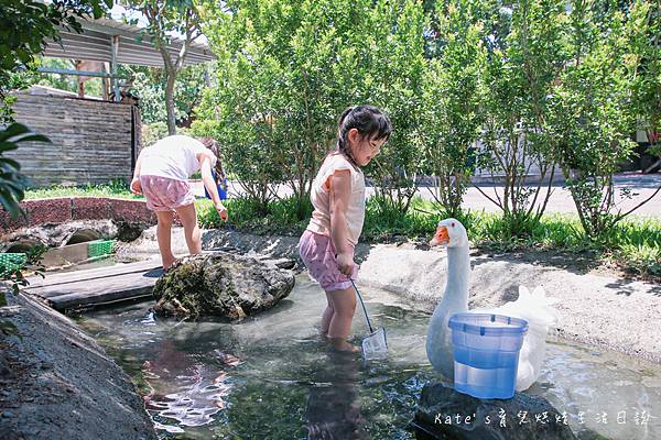 心心農家樂 宜蘭親子景點 宜蘭農場推薦 宜蘭冬山景點 冬山親子景點 冬山農場 心心農家樂門票 心心農家樂評價 心心農家樂有什麼動物57.jpg