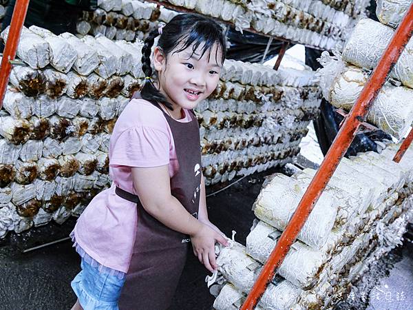 豐年靈芝菇類生態農場 南投埔里豐年農場 南投埔里親子景點29.jpg