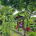 桃米社區安雲生態池 南投景點 埔里景點7.jpg