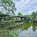 桃米社區安雲生態池 南投景點 埔里景點30.jpg