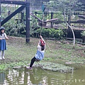 桃米社區安雲生態池 南投景點 埔里景點33.jpg