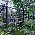 桃米社區安雲生態池 南投景點 埔里景點43.jpg