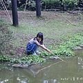 桃米社區安雲生態池 南投景點 埔里景點47.jpg