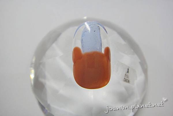 PhotoCap_079 PhotoCap_079