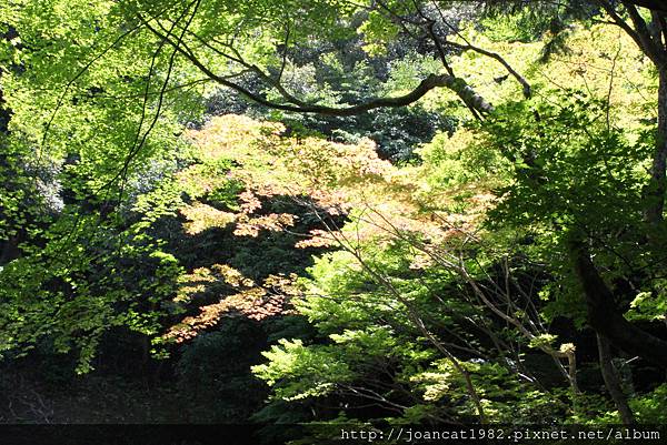 kyoto day 1 084