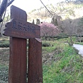 20130204_武陵茶園 (12).jpg